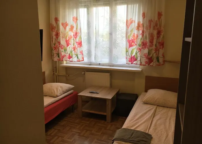 格斯尼格拉夫旅馆 *