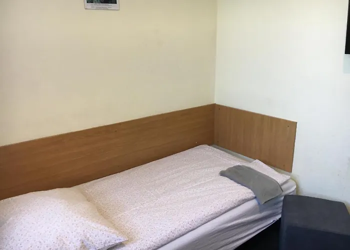 格斯尼格拉夫旅馆 * 卡尔帕奇