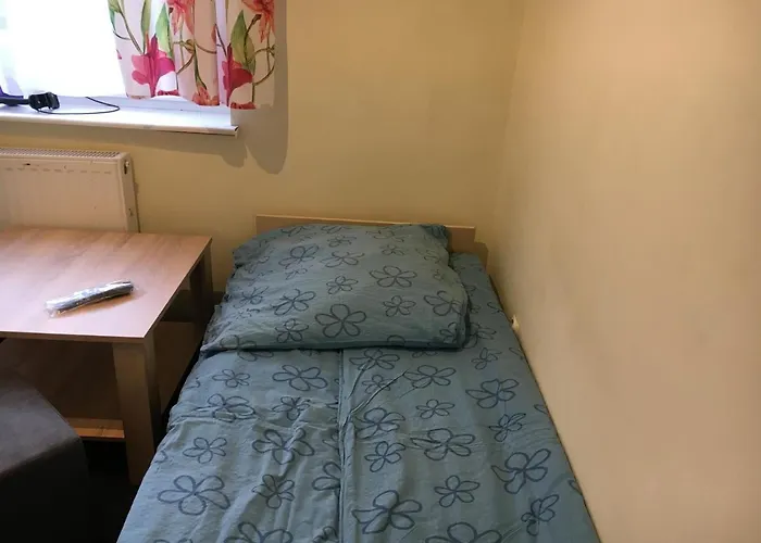 格斯尼格拉夫旅馆 卡尔帕奇