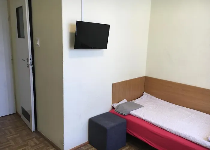 民宿 格斯尼格拉夫旅馆 *